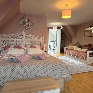 Le Grenier De Charme Centre Historique Appartement
